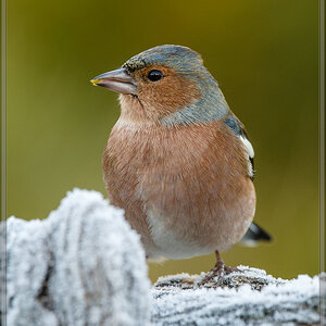20161204 5115 [NIKON D4] 700 mm,1 100 Sek. bei ƒ   8,0