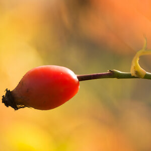 [No title]