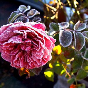 PC030025 1200px