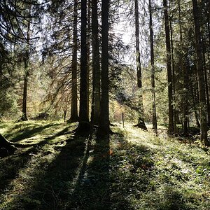 t jura 0388