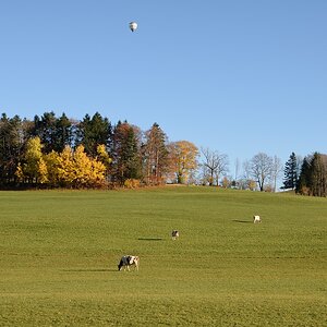 t jura 0506