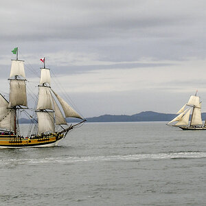 Windjammer Vancouver Island