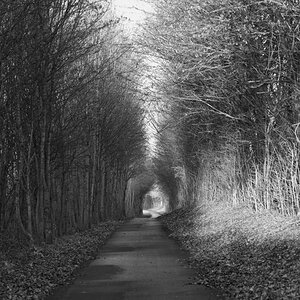 DSC 0094x