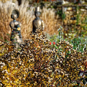 D72 1354 DxO 1000px