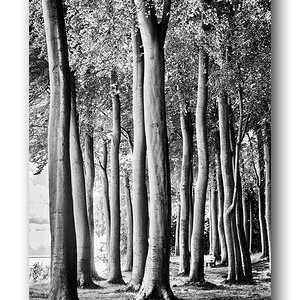 Tænkebænke B&W