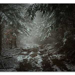 20160214 0009 Deister Nebel Lehmbrink