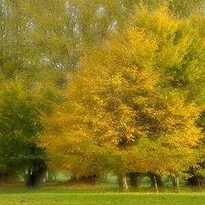 DSC 0057a