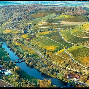 F4 Blick a.d.herbstl.Weinb