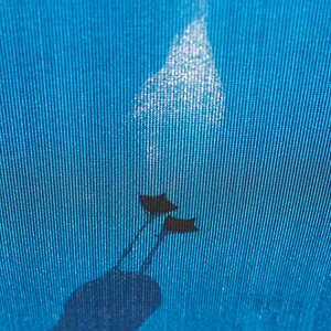20160930 162522 1