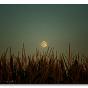 20160816 0031 Mond Degersen