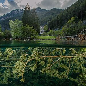 Tirol, Fernsteinsee
Hinter den Kulissen