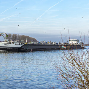 an der Maas in Venlo