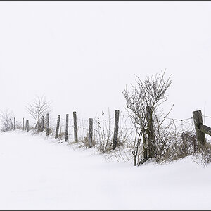 Weidezaun im Schneetreiben