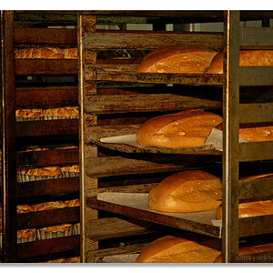 2008 047 Bäckerei R FORUM