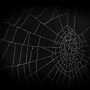 20161025 DSC 0203nc
