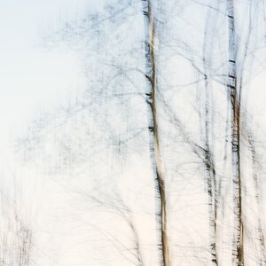 710 8267NF 004