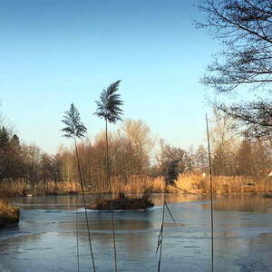 Stockmühlsee (1) Kopie