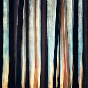 PastelNF 002