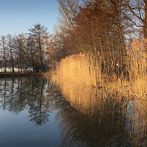 Stockmühlsee 4 Kopie