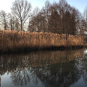 Stockmühlsee 5 Kopie