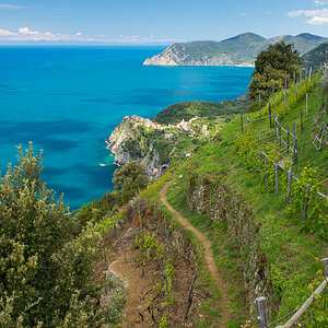 Cinque Terre 6856