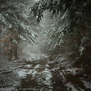 20160214 0009 Deister Nebel Lehmbrink