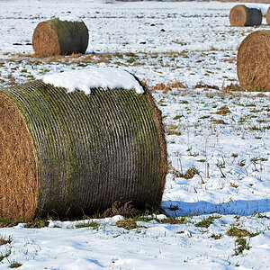 Winterheu