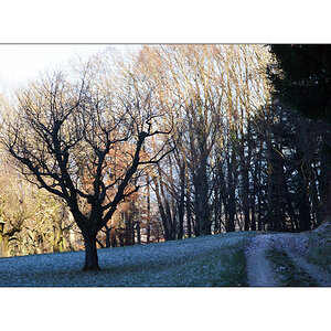 WinterPZ1 8310 00023
