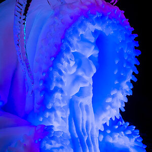 Cold as Ice 4388