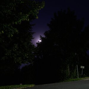 DSC 0062