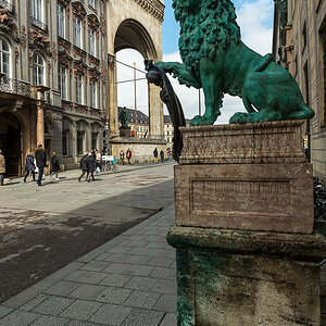 Löwe Residenz München