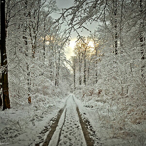 20160117 0013 Winterspaziergang Deister