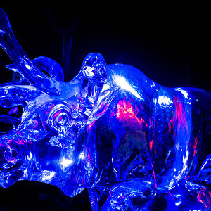 Cold as Ice 4394