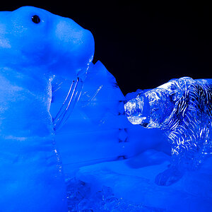 Cold as Ice