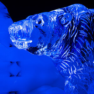 Cold as Ice 4410