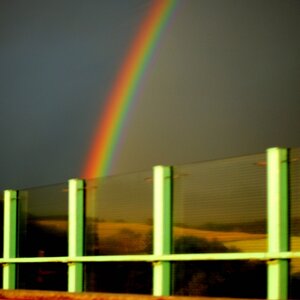 bunt