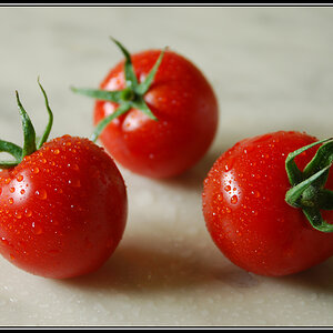 Tomaten(Original)