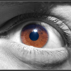 Sedu eye