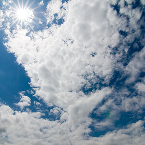 DSC 1900 DxO raw 4