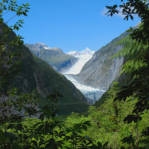 Fox Glacier
