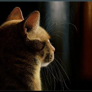 430.Jo