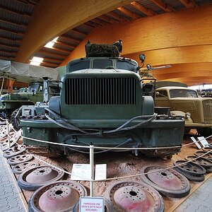 mus 6742