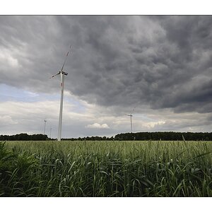 Küsten-Impression
Windräder & "norddütscher Knick"