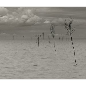 Wattfahrwasser Ostfriesische Inseln
Prickenweg