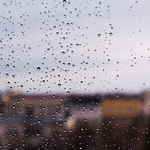 Regenmorgen