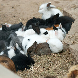 Gruppenkuscheln
