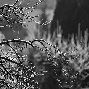 DSC 0740 a