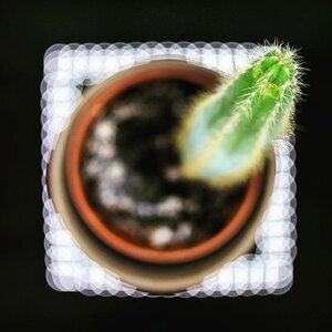 Lightbox