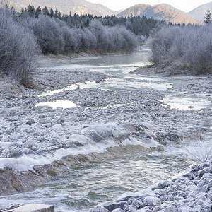 Raureif obere Isar