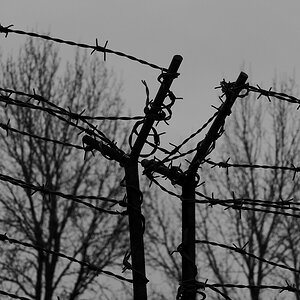 Tristesse 01